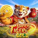 Lucky Tiger Gold Pragmatic Play: RTP Resmi 96,50% — Match-3 Grid 3×3 & Fakta Pengali 1.000x