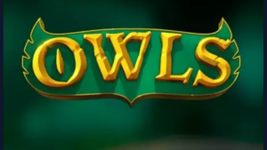 Owls