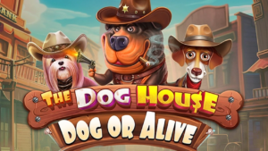 The Dog House – Dog or Alive
