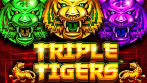 Triple Tigers