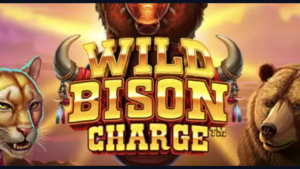 Wild Bison Charge