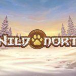 Wild North: Play’n GO — RTP 94,57%, Max Win 2.500x, Volatilitas Sedang