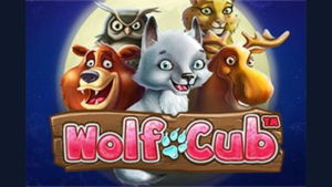 Wolf Cub